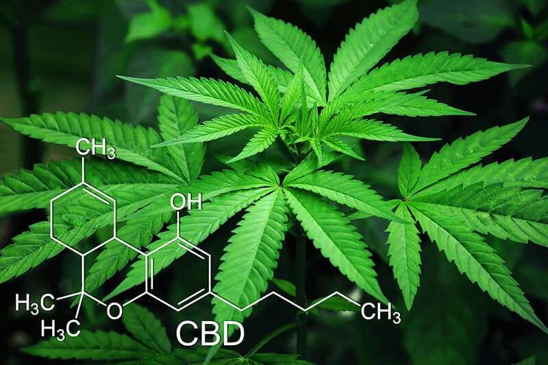 Was ist Cannabidiol (CBD) ?